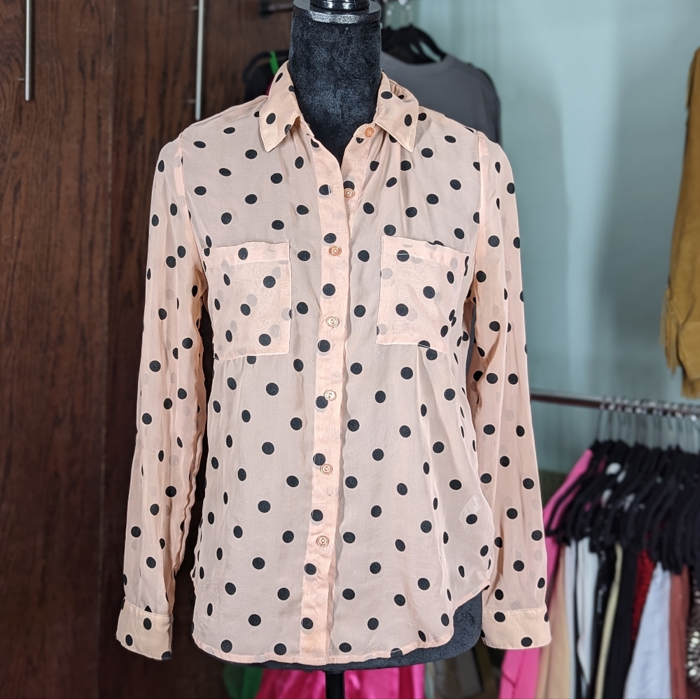 American Apparel Button Down